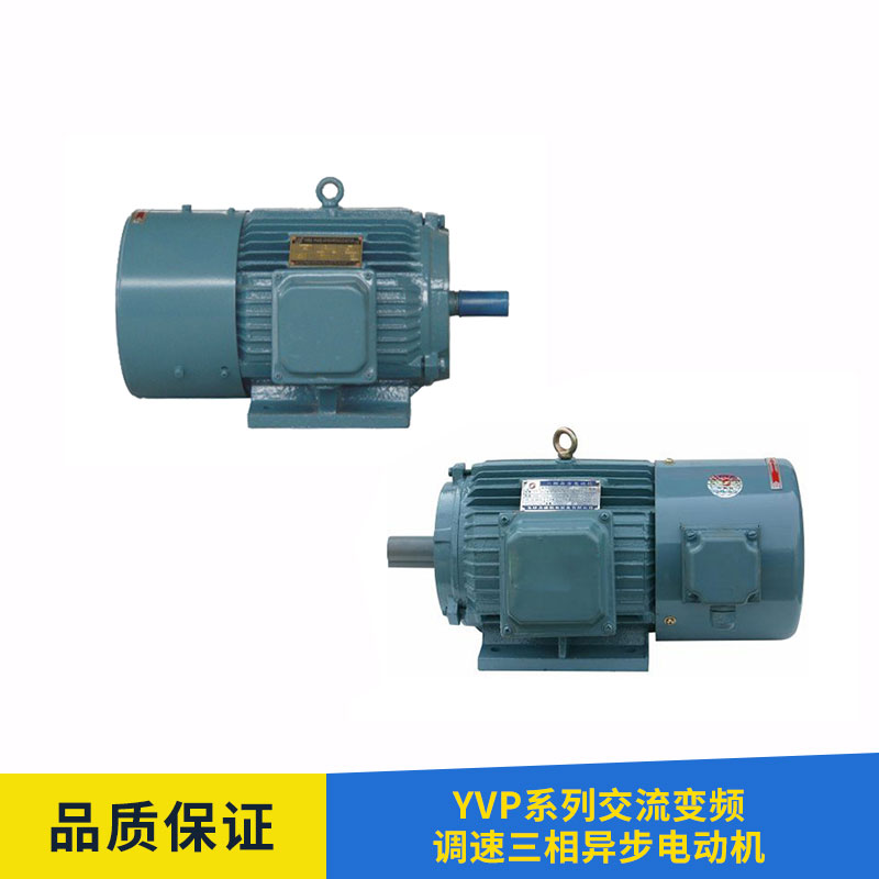 YVP系列交流變頻調(diào)速三相異步電動機 交流變頻電動機