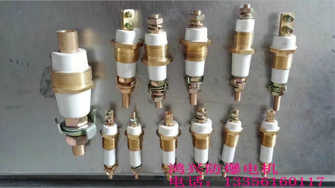 電機(jī)接線柱_樂清電機(jī)接線柱廠_樂清電機(jī)接線柱生產(chǎn)廠家_樂清電機(jī)接線柱供應(yīng)商