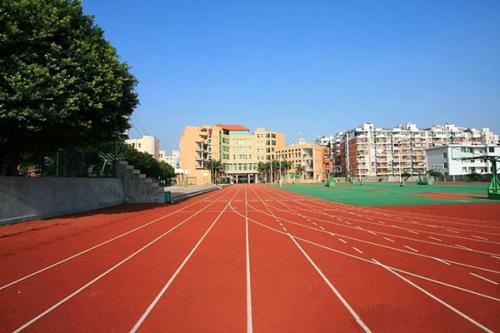 北京全塑型跑道 北京全塑型跑道施工 河北全塑型跑道 天津全塑型跑道施工