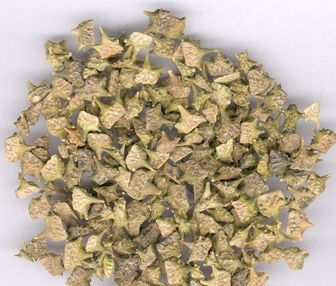 昌岳供應(yīng) 刺蒺藜提取物 西安昌岳現(xiàn)貨供應(yīng)刺蒺藜提取物