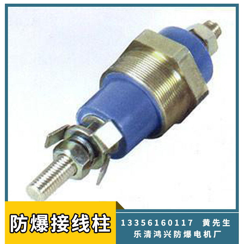 供應(yīng)防爆接線柱 高質(zhì)量電機(jī)配件接線端子 防爆連接器電子元件廠家
