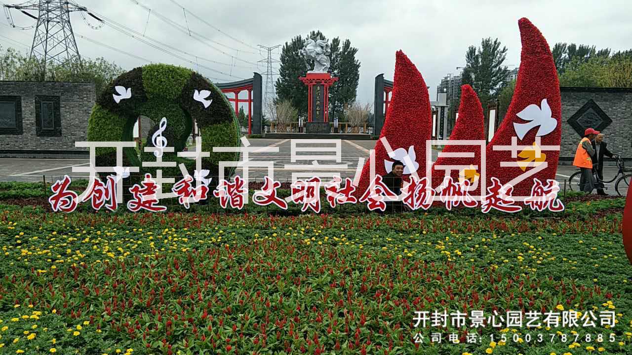 河南五色草種植批發(fā)基地 五色草造型 立體花壇 植物綠雕