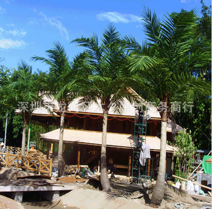 廠家直銷 仿真榕樹 大型仿真包柱榕樹 仿真古榕樹 仿真榕樹批發(fā) 仿真椰子樹