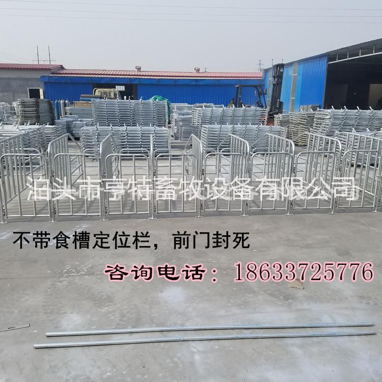 湖北十堰新款母豬定位欄安裝設(shè)計
