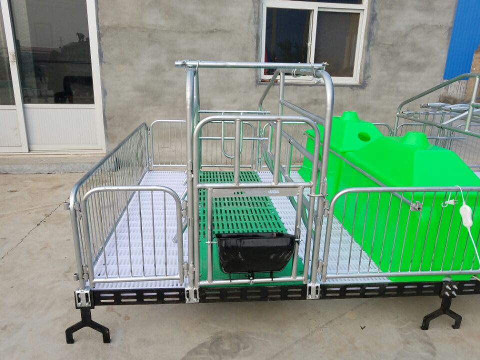 河南開封豬場安裝母豬產(chǎn)床多少錢