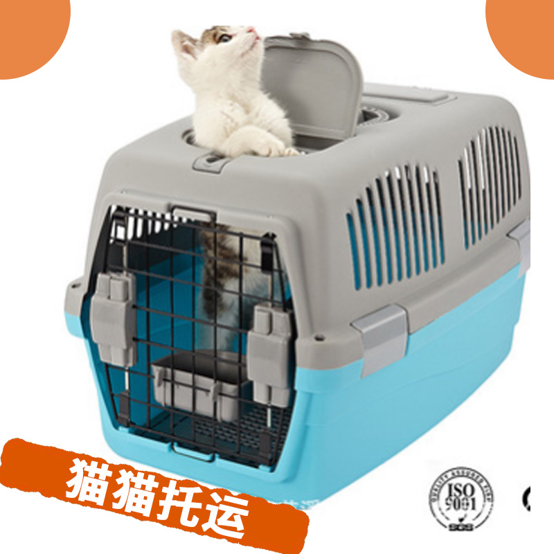 專業(yè)貓貓托運(yùn) *國內(nèi)國外寵物代運(yùn)輸團(tuán)隊(duì)服務(wù) 與愛寵出游請致電