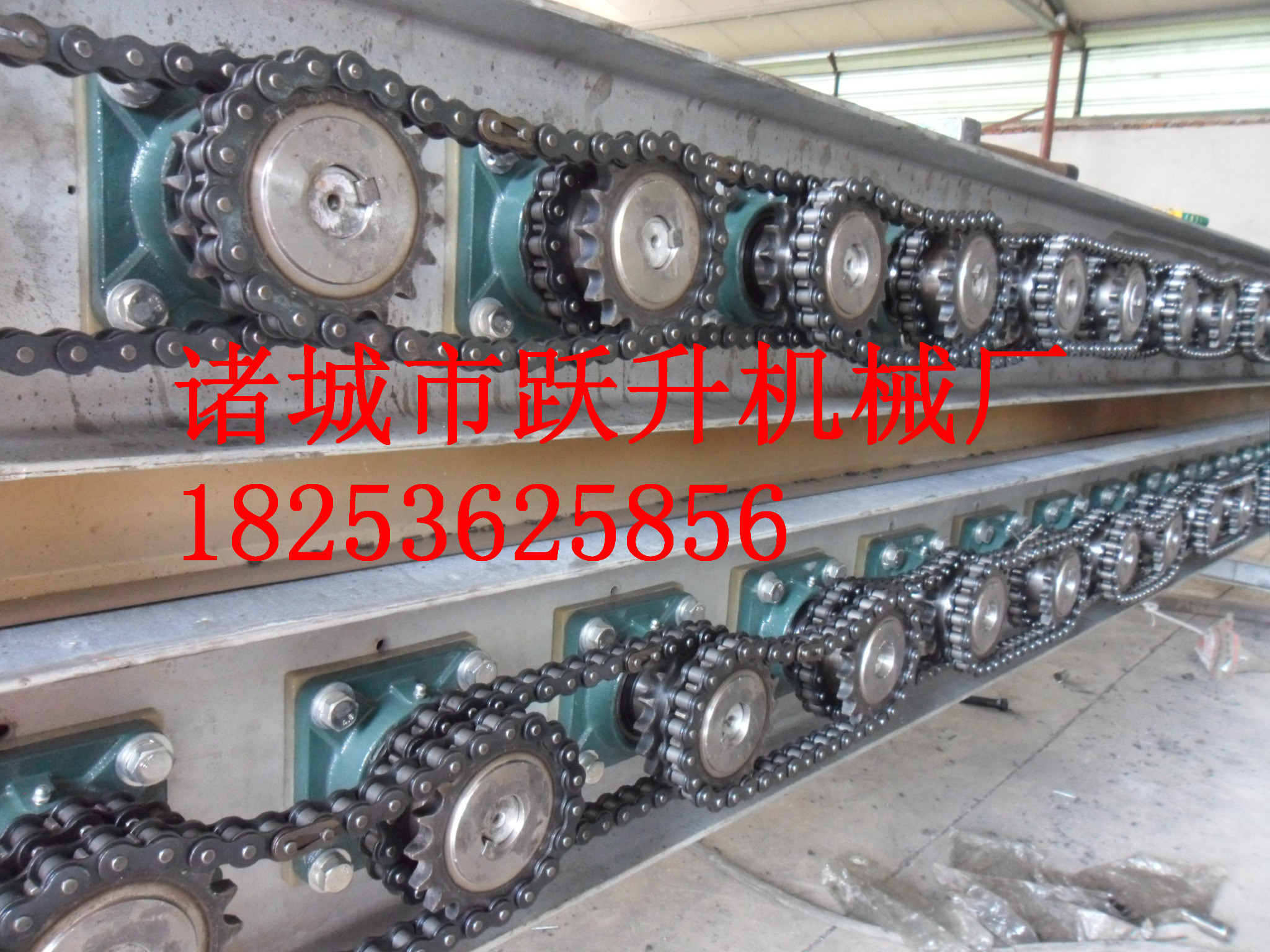 羊毛脫毛機(jī) 羊脫毛機(jī) 兔子脫毛機(jī)