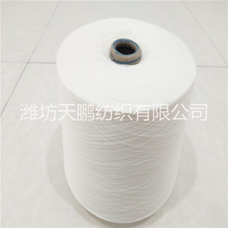天鵬超細(xì)旦滌綸紗80支100支單紗股線現(xiàn)貨熱銷