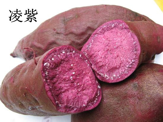 紫薯紫羅蘭收購(gòu)價(jià)格