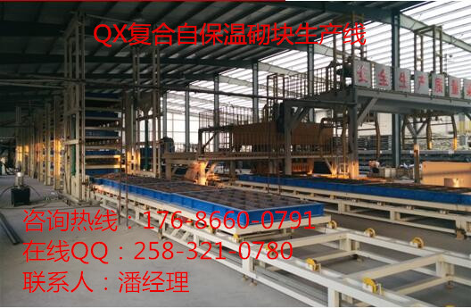 自保溫砌塊生產(chǎn)線山東山東生產(chǎn)廠家