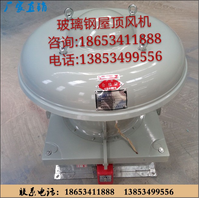 BLDMF-4型玻璃鋼防雷防爆電動球形風帽 BLDMF-4型防雷防爆電動風帽 電壓220V防雷防爆電動風帽