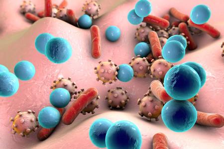 環(huán)境實(shí)驗(yàn)工程