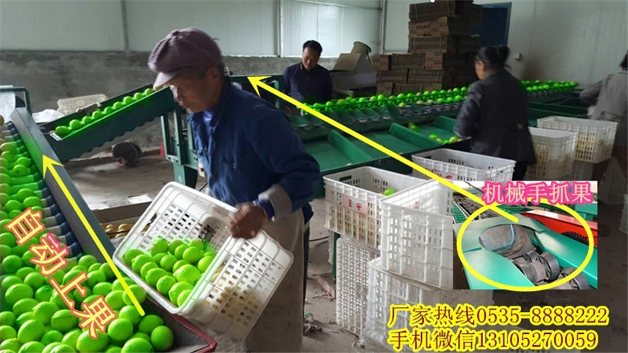 青棗分選機(jī)廠家聯(lián)系方式