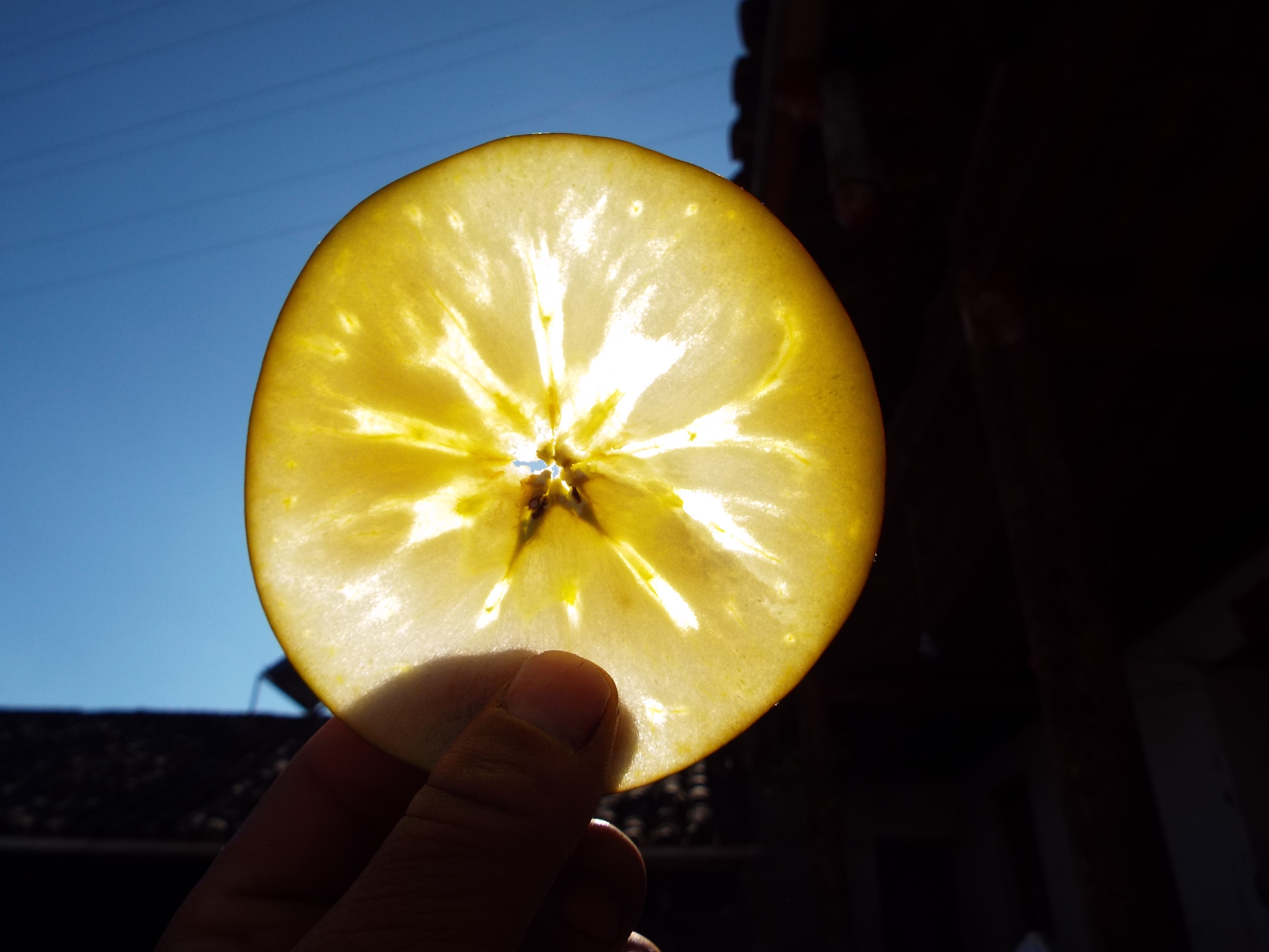 迎接雙12活動(dòng)專享①原價(jià)45元8斤65-70mm包郵現(xiàn)只需34.9?、谠瓋r(jià)55元8斤70-80