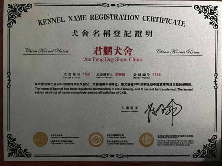 美國超級登錄撲 克后代 渦輪 對外借配！