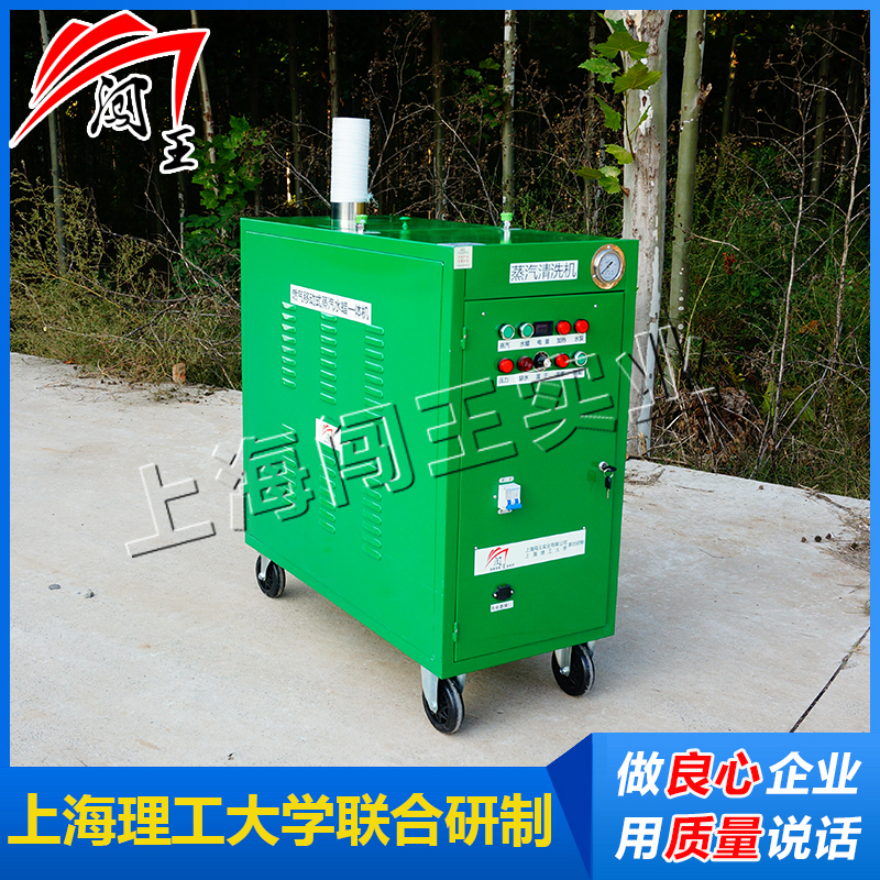 燃氣蒸汽清洗機 移動蒸汽洗車機 環(huán)保蒸汽洗車設(shè)備 培訓基地