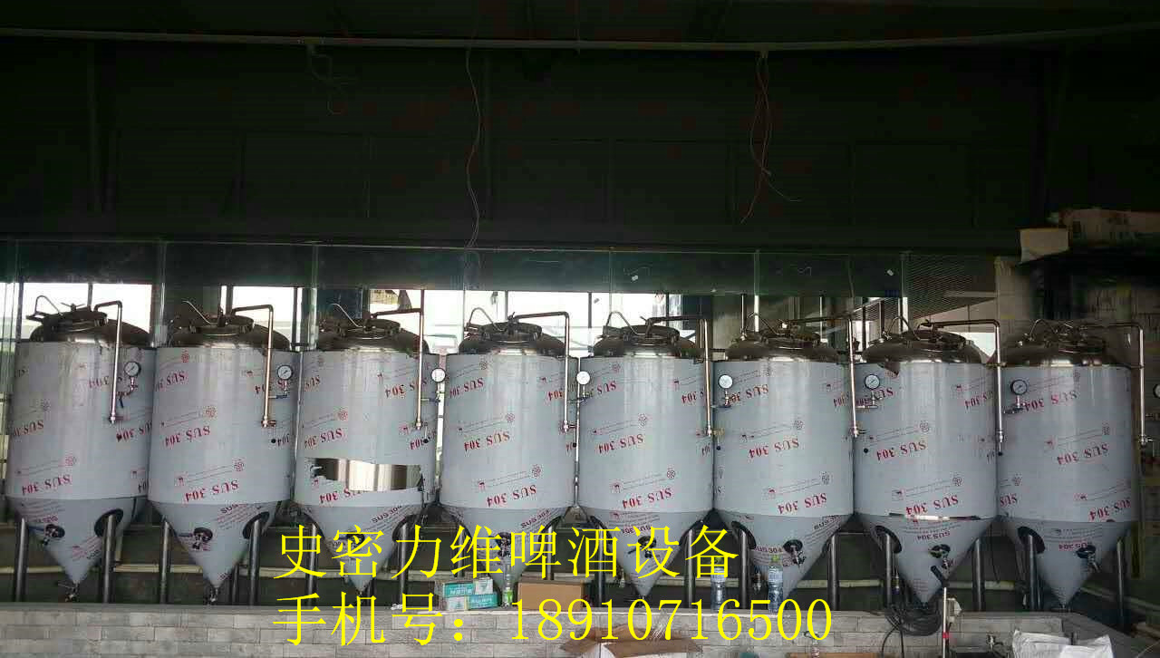 河南精釀啤酒設(shè)備廠家啤酒設(shè)備價格