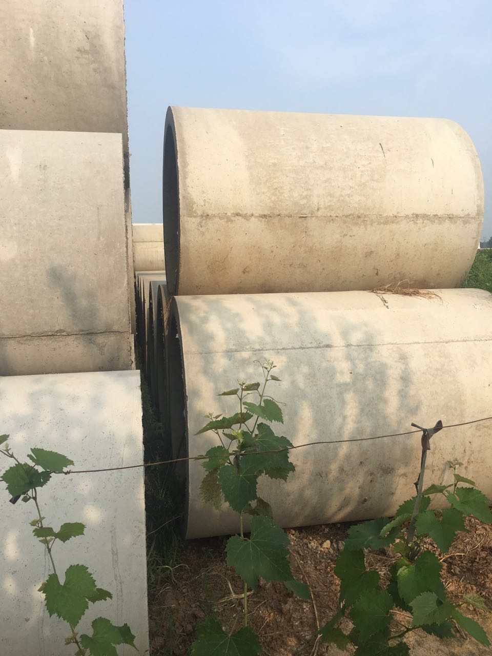 優(yōu)質(zhì)水泥管哪里有賣-許昌水泥管-排水管-水泥排水管供應(yīng)