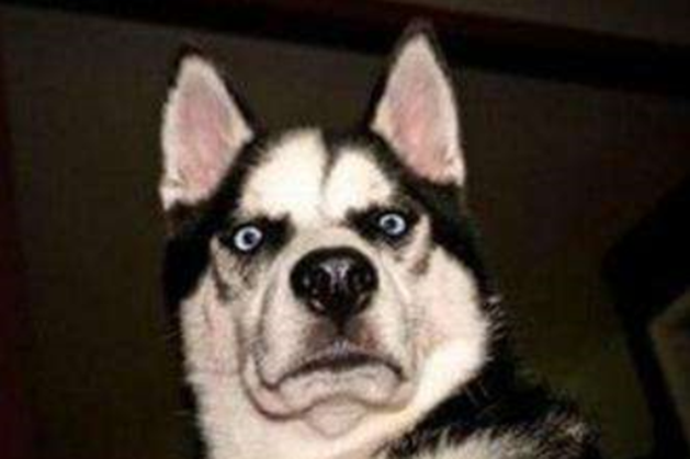 裝修公司和游擊隊(duì)對比