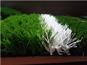 足球草 足球場人造草坪 格瑞絲人造草坪