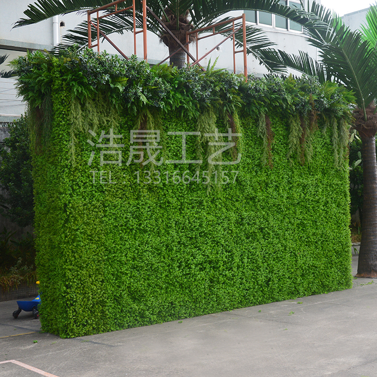 塑料植物綠植墻 假植物墻 仿真植物墻哪家好東莞南城廠家直銷