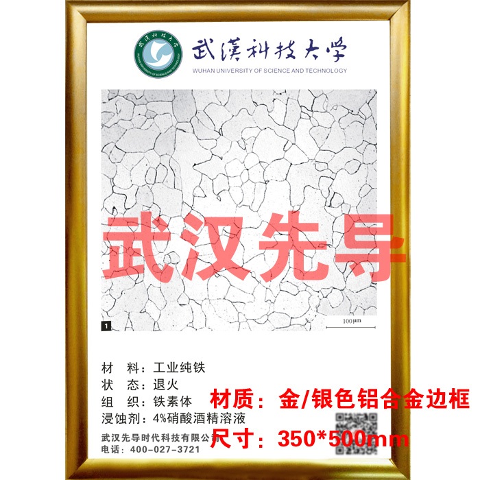 武漢先導(dǎo)：86種金相組織掛圖（帶比例尺可加標(biāo)?；招Ｃ┒ㄖ瓢]廠家直銷