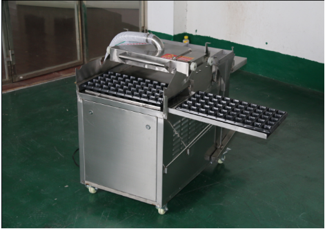 穴盤播種機 針吸式播種 常州風(fēng)雷