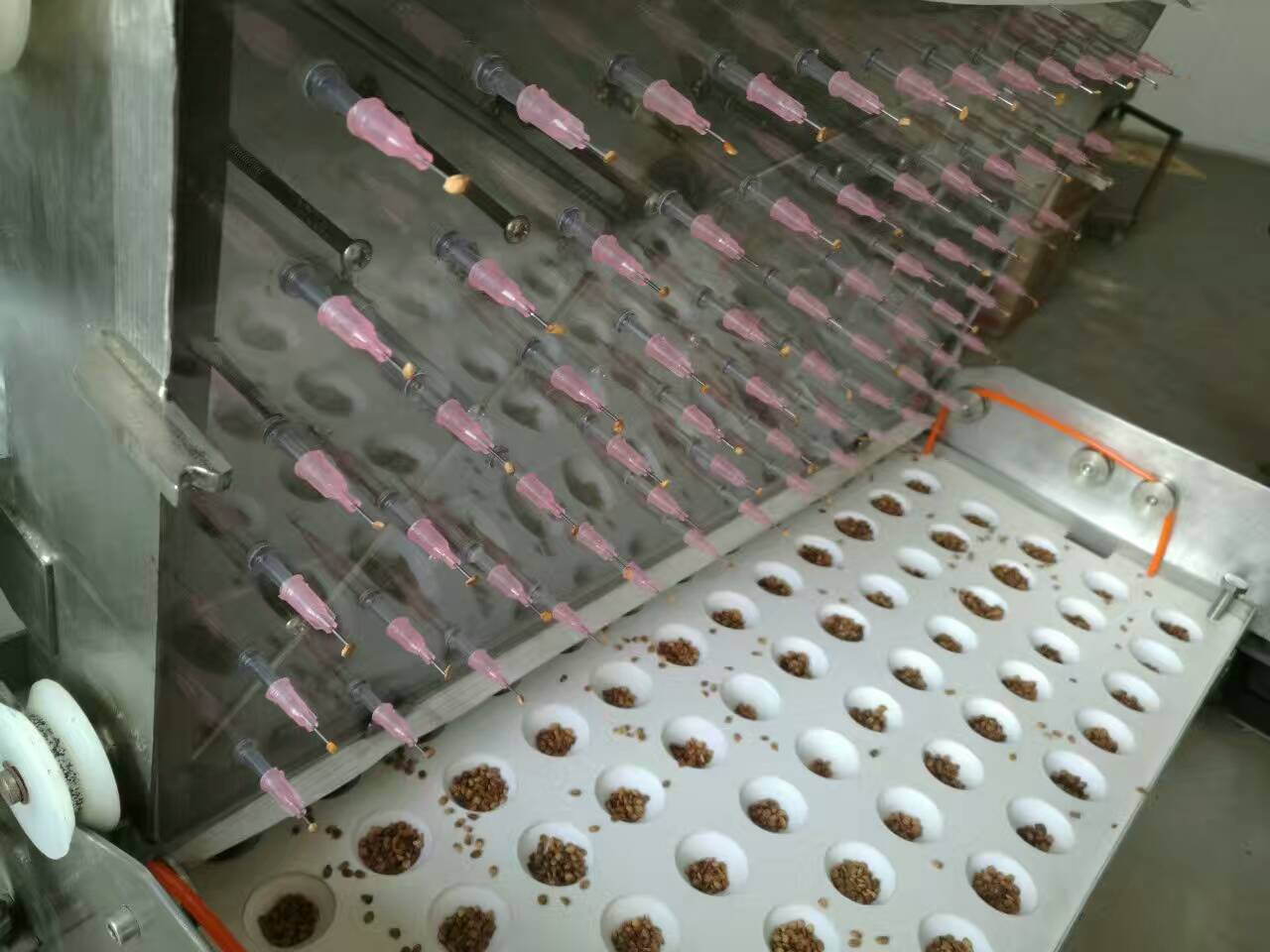 穴盤播種機 針吸式播種 常州風(fēng)雷