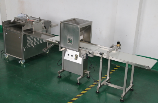 育苗生產(chǎn)線 穴盤播種機(jī) 常州風(fēng)雷