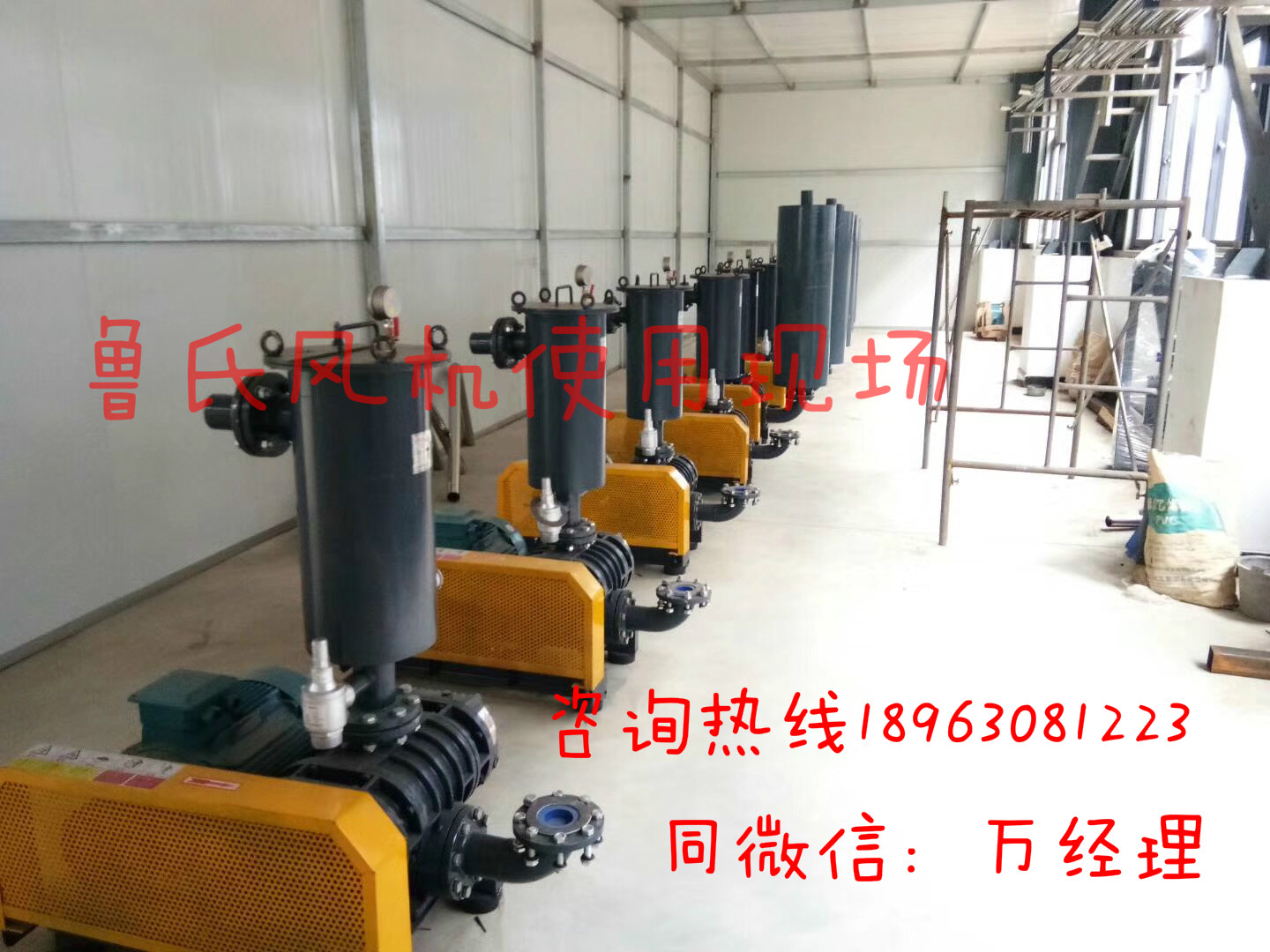 65口徑水處理羅茨風(fēng)機(jī)65口徑曝氣風(fēng)機(jī)