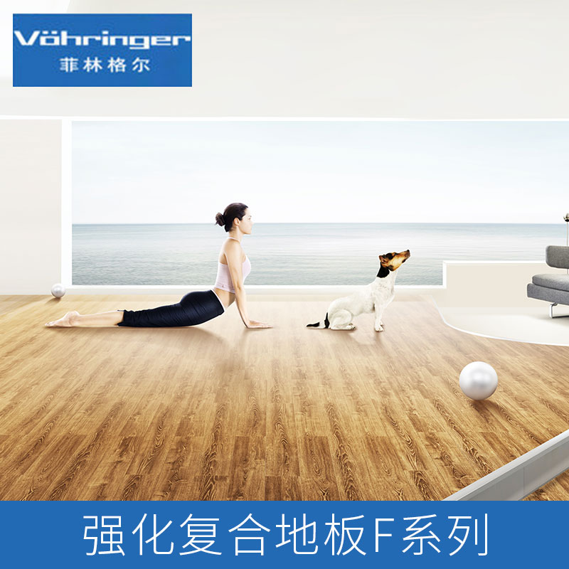 菲林格爾強(qiáng)化復(fù)合地板F系列產(chǎn)品 曼特寧橡木地板 梅塞爾橡木地板 卡倫德橡木地板