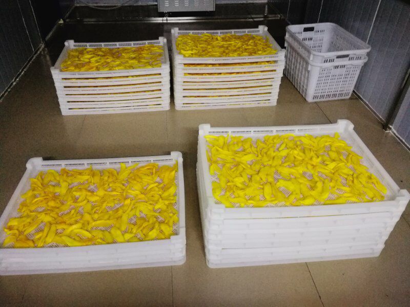 廠家*越南進口芒果干