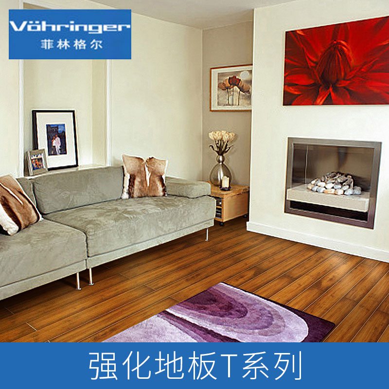 菲林格爾強(qiáng)化地板T系列產(chǎn)品 加納利橡木地板 萊比錫山核桃地板 弗里茨橡木地板