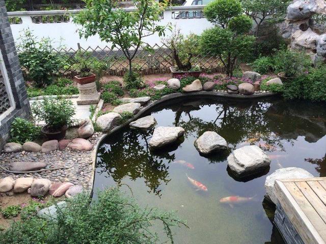 株洲別墅魚池設(shè)計株洲庭院魚池建造選擇長沙觀宇園藝