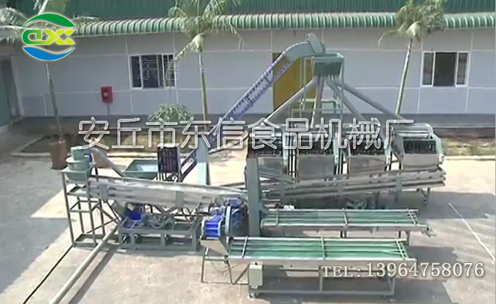 供應(yīng)Cashew nuts 腰果脫殼機(jī)