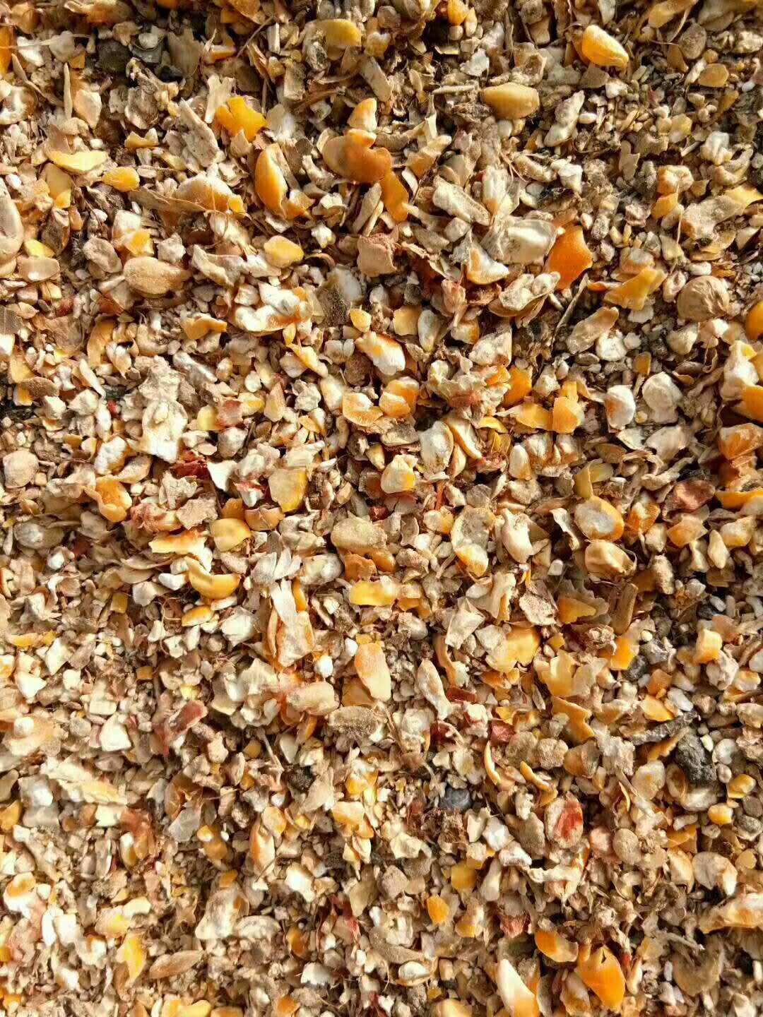 高存活率鵝苗哪里有-電話-價(jià)格