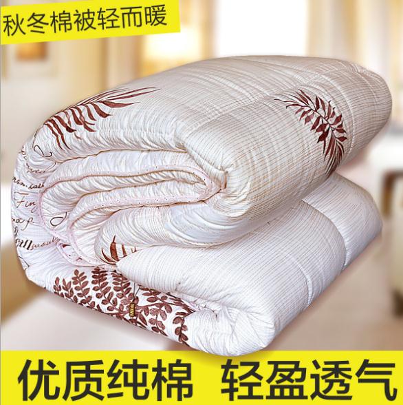 廠家直銷天然純棉羽絲棉被二合一 雙胎子母被春秋冬四季 純棉羽絲棉被uu
