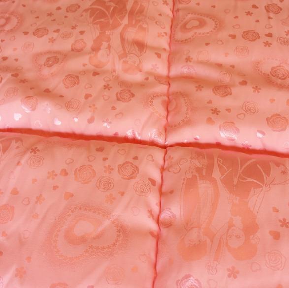 全棉羽絲雙胎被,湖南雙胎被被廠家直銷,雙胎被供應(yīng)商批發(fā),雙胎被廠家批發(fā)