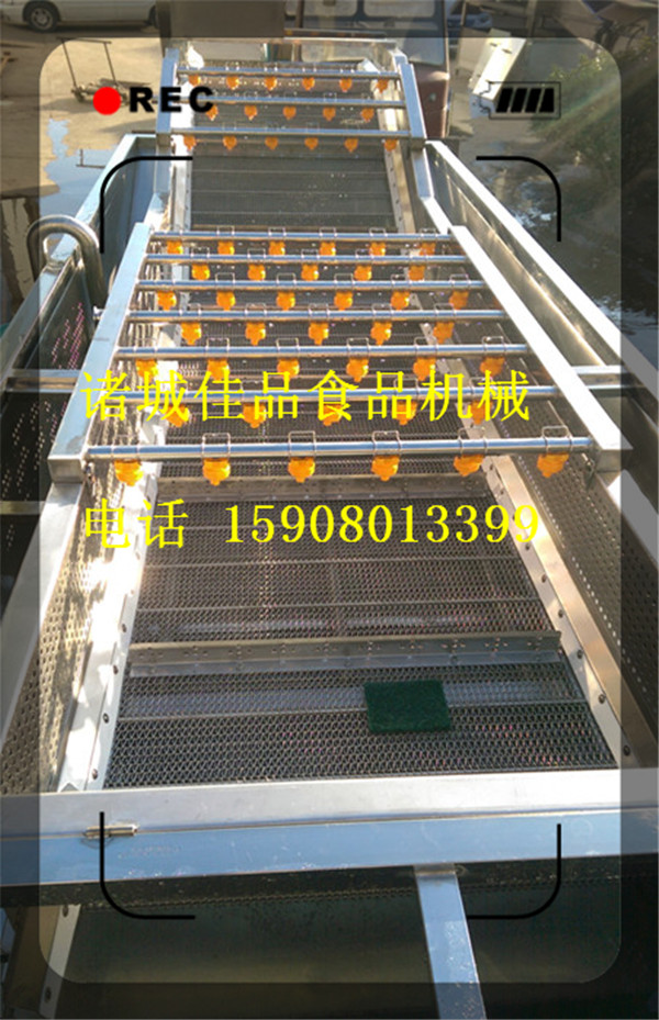 洗姜機(jī) 大姜清洗機(jī) 水果蔬菜清洗機(jī)廠家直銷 佳品食品機(jī)械
