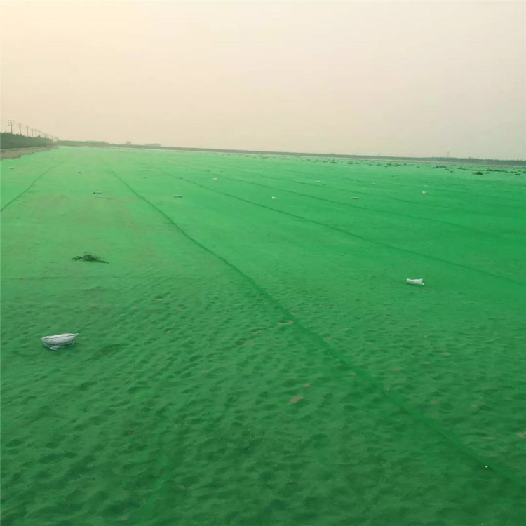 建筑防護(hù)網(wǎng) 建筑安全防護(hù)網(wǎng)批發(fā) 供應(yīng)建筑安全網(wǎng) 建筑防護(hù)網(wǎng)生產(chǎn)商