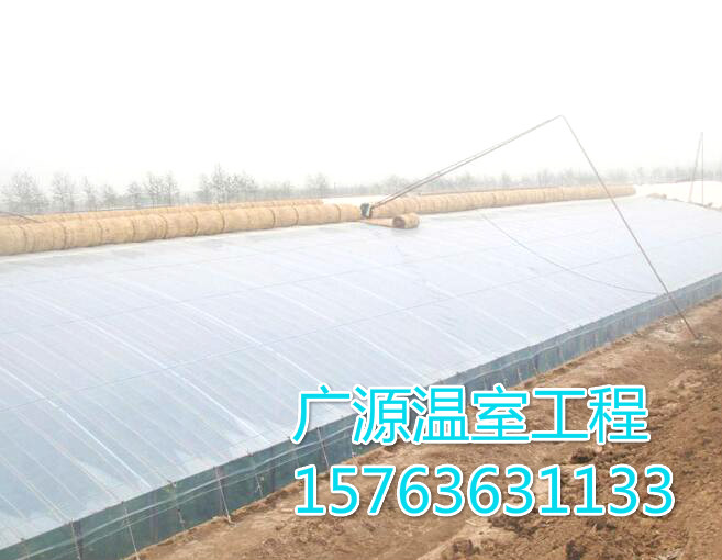 大棚溫室-大棚價格【廣源溫室】大棚-廠家直銷 連棟大棚