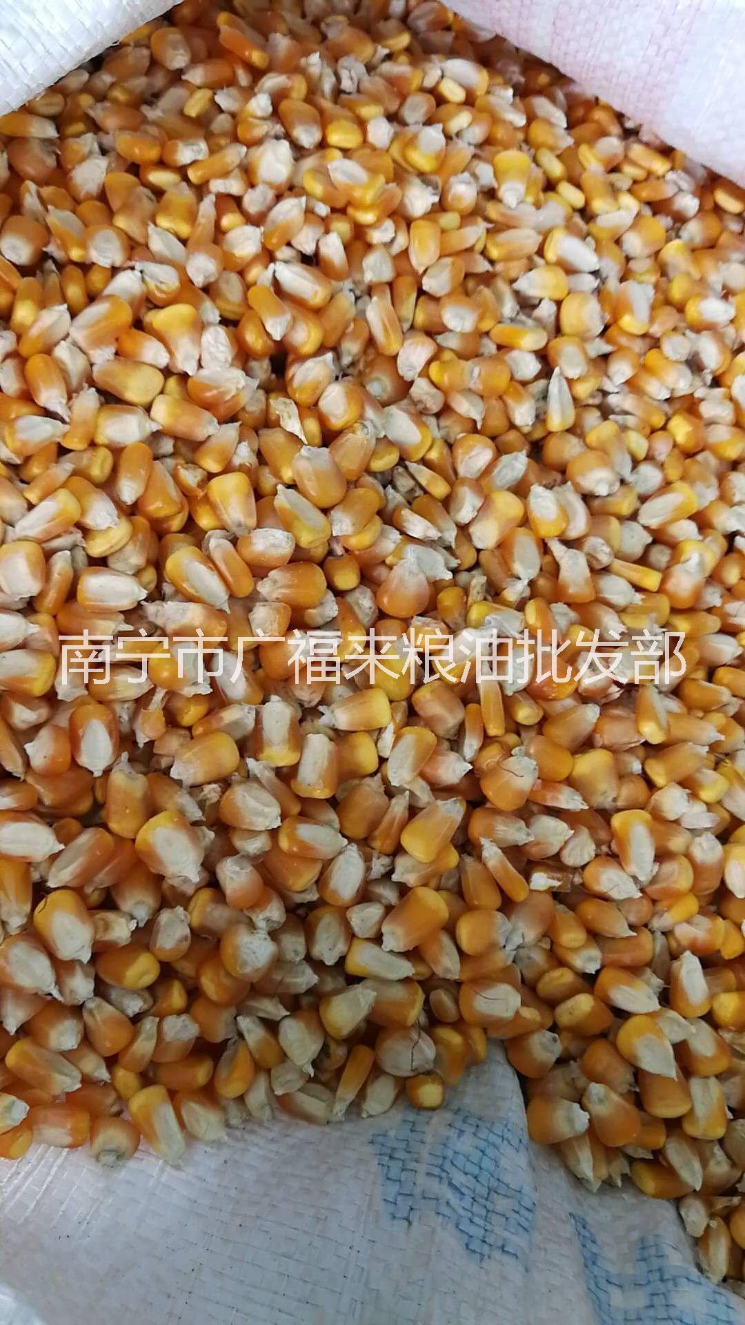 南寧飼料原料_廣西飼料行情_飼料原料批發(fā)價格