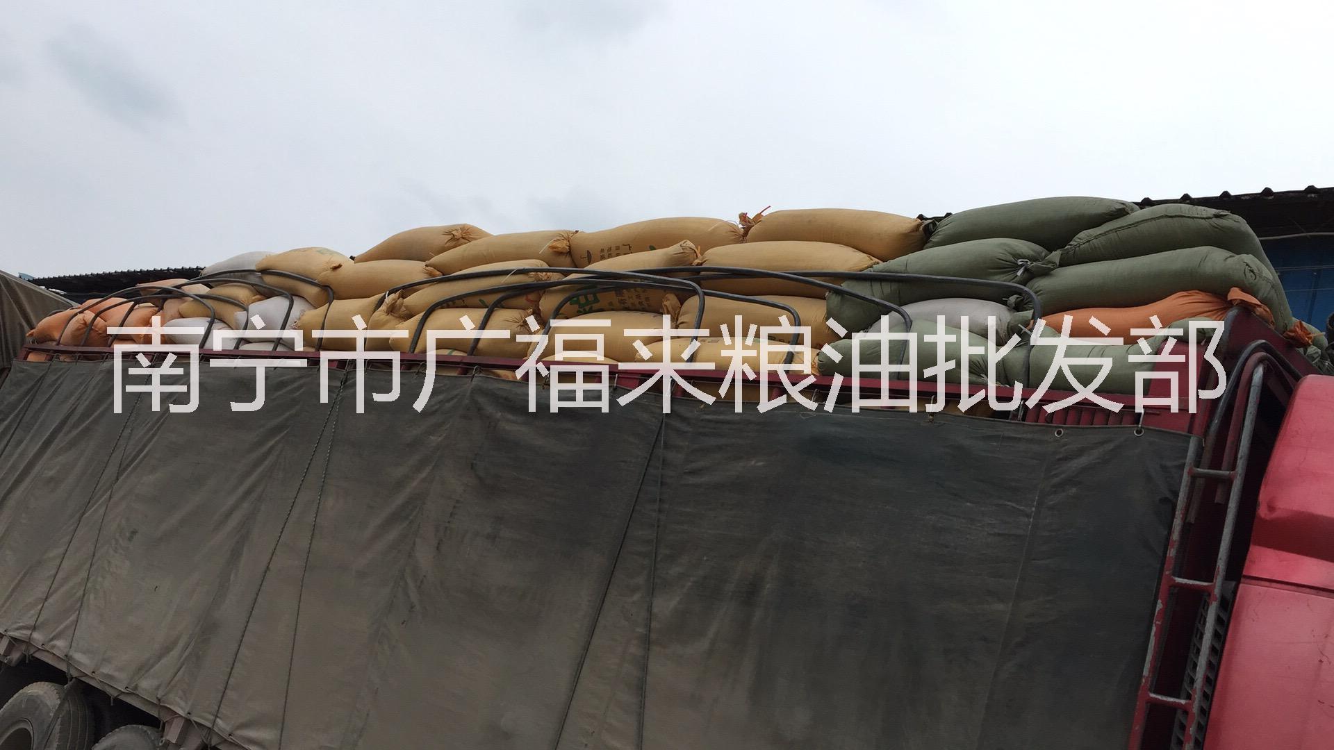 南寧飼料原料_廣西飼料行情_飼料原料批發(fā)價格