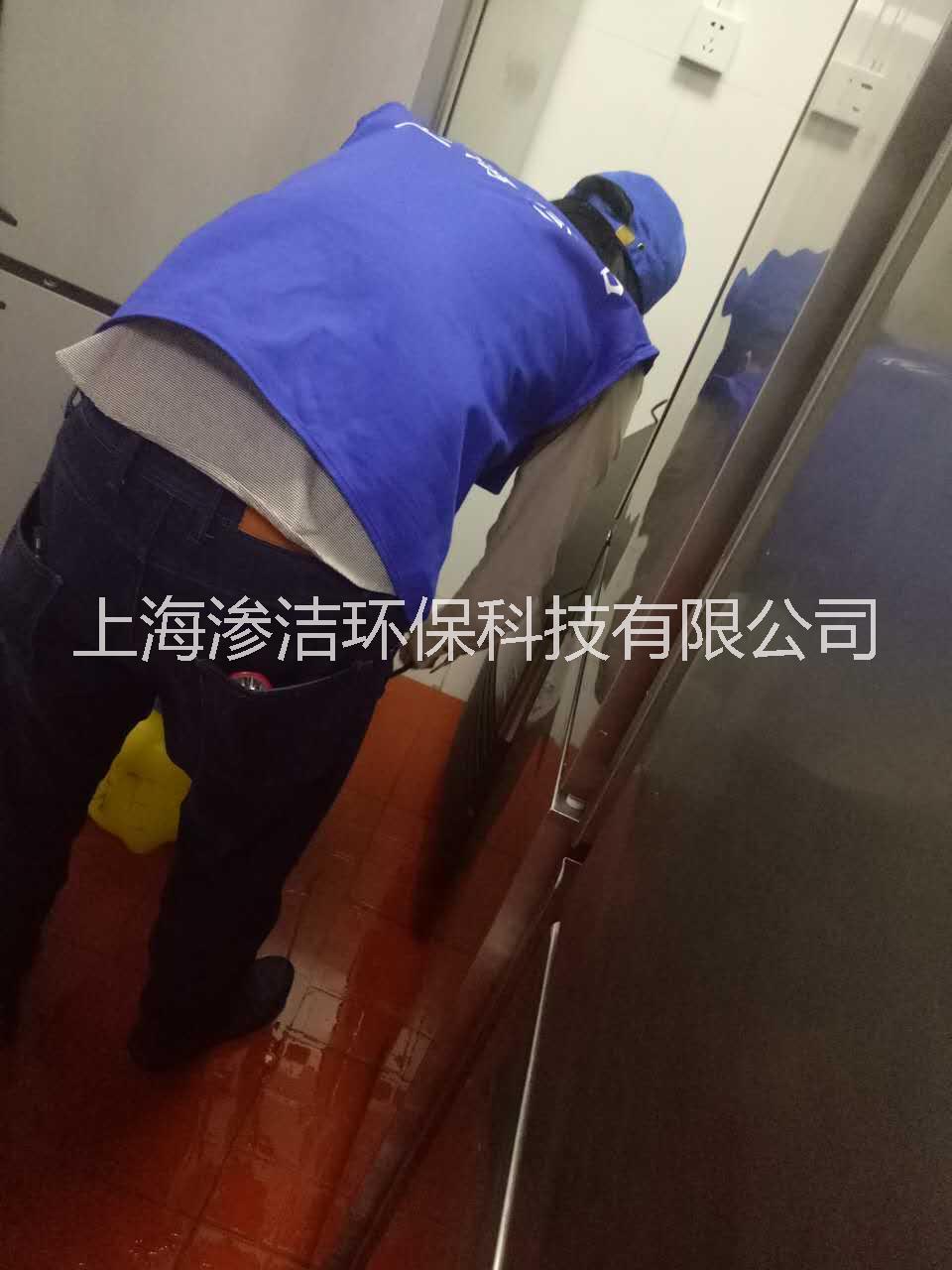 上海松江區(qū)專業(yè)滅老鼠公司，提供上門蟲害防治服務(wù)