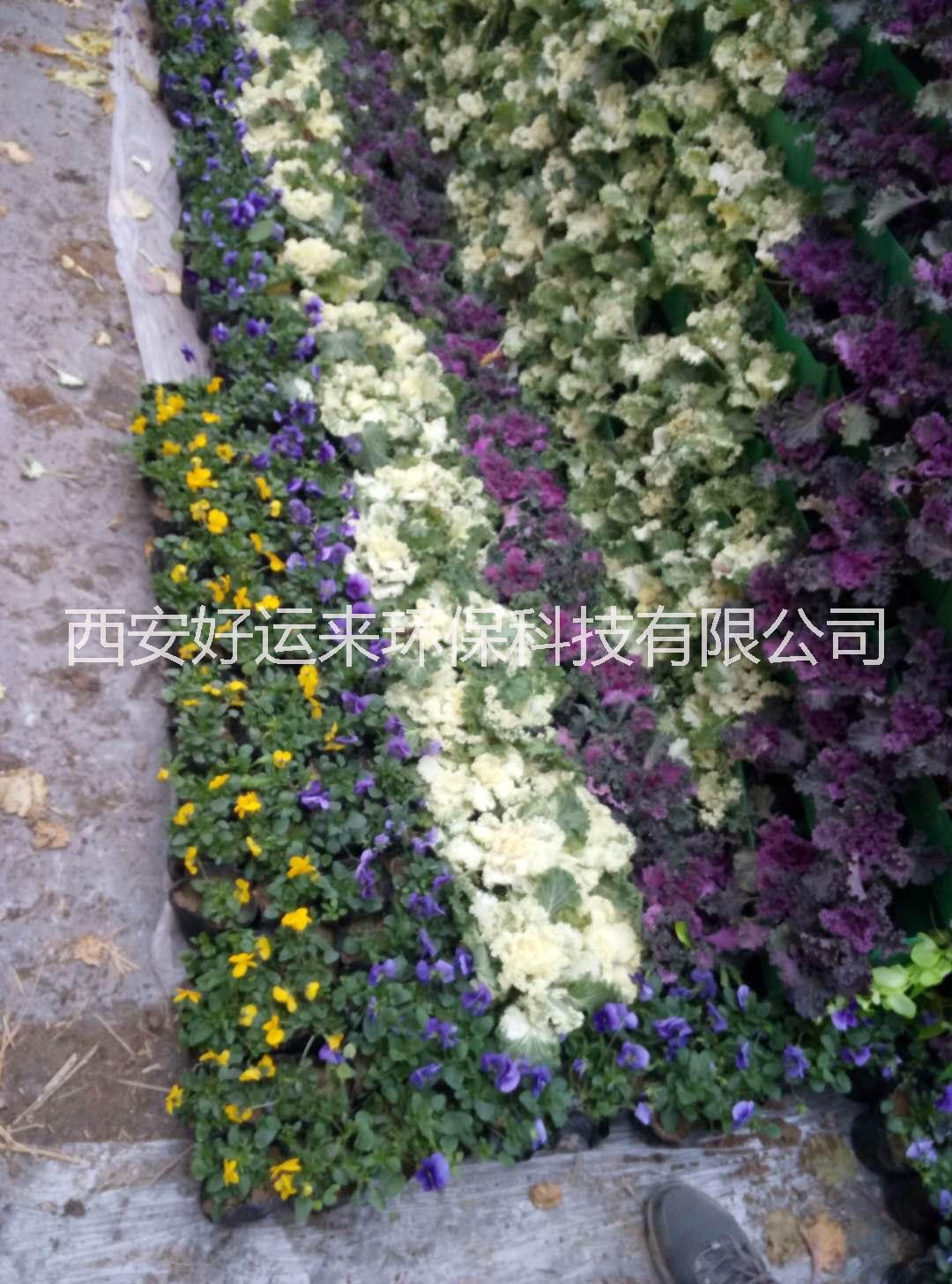 立體花墻制作 專業(yè)制作立體花墻制作