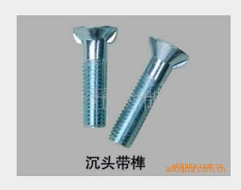 供應(yīng)沉頭帶榫螺栓GB11 GB800