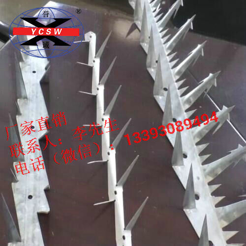 鍍鋅刺釘丨鍍鋅防爬刺釘