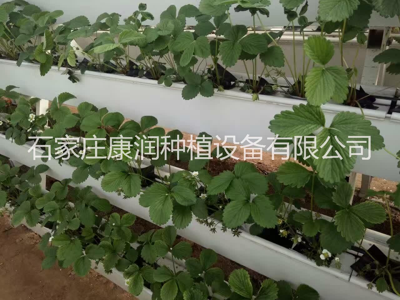 供應(yīng) 農(nóng)場(chǎng)種植槽生產(chǎn)廠家 農(nóng)場(chǎng)種植槽供應(yīng)商 農(nóng)場(chǎng)種植槽生產(chǎn)批發(fā)