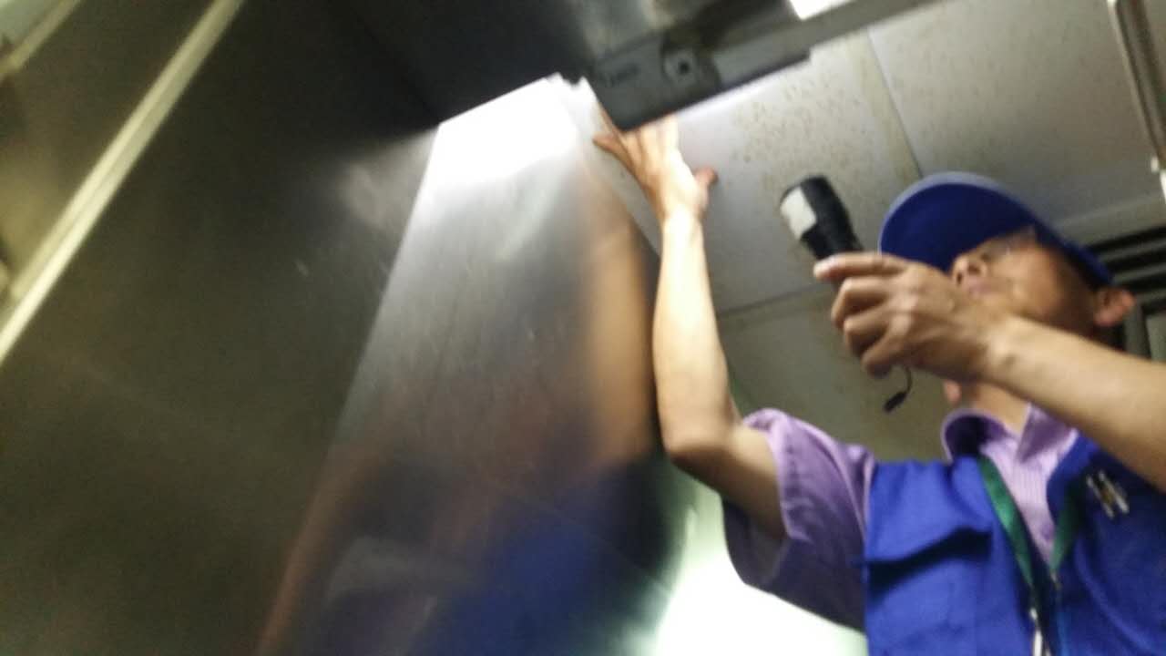 上海專業(yè)殺蟲公司，上海上門殺蟲滅蟲除蟲公司