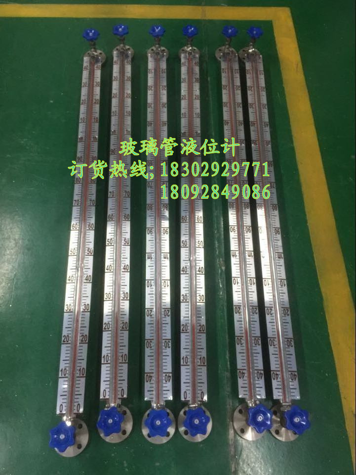 咸寧市水處理設(shè)備配套磁浮子液位計(jì)  咸寧市水處理配套磁浮子液位計(jì)廠家